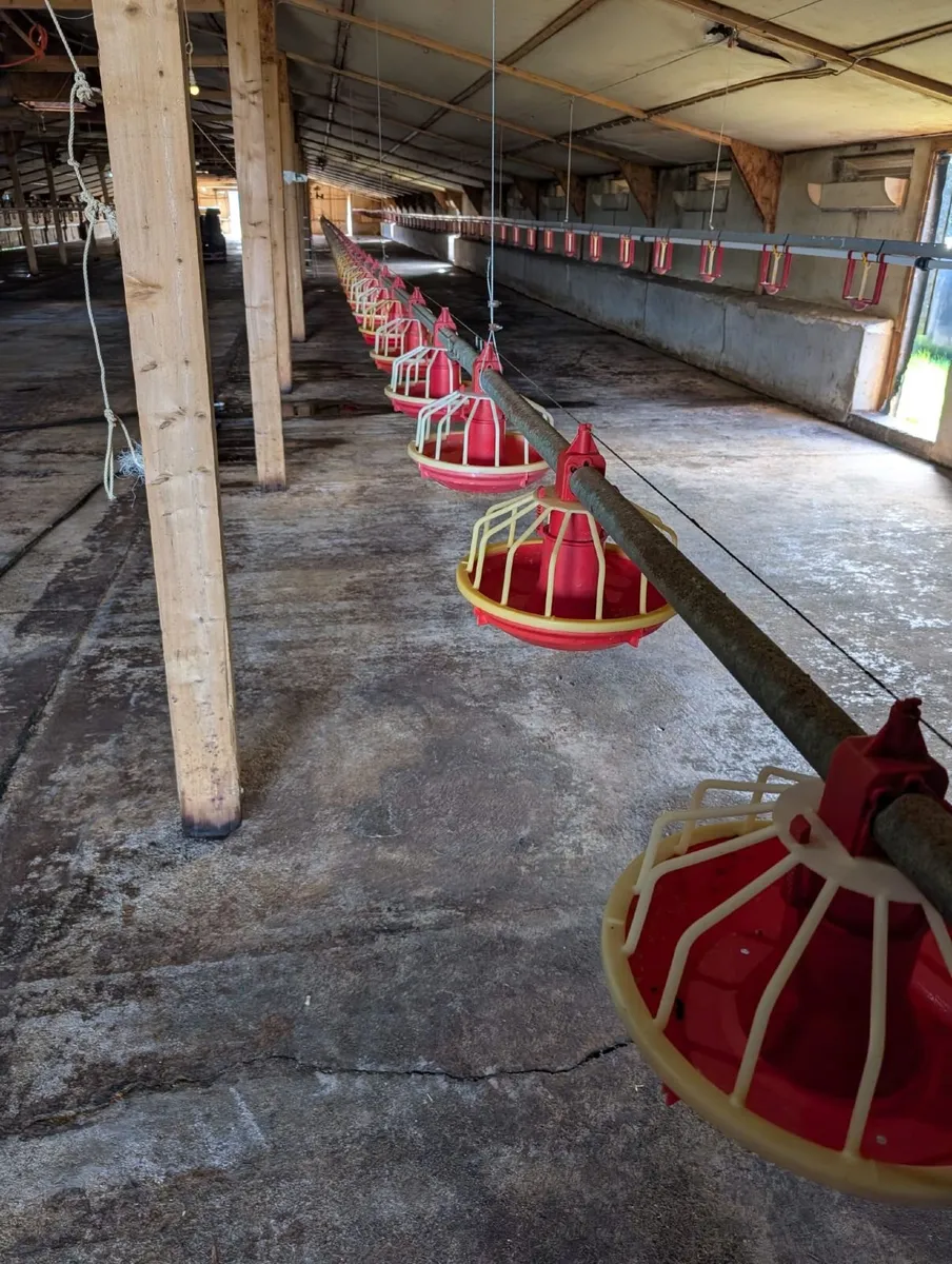 Poultry feeders - Image 1