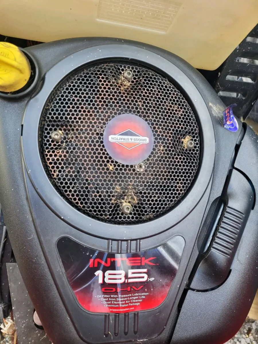 Castlegarden lawnmower 18 5hp - Image 4