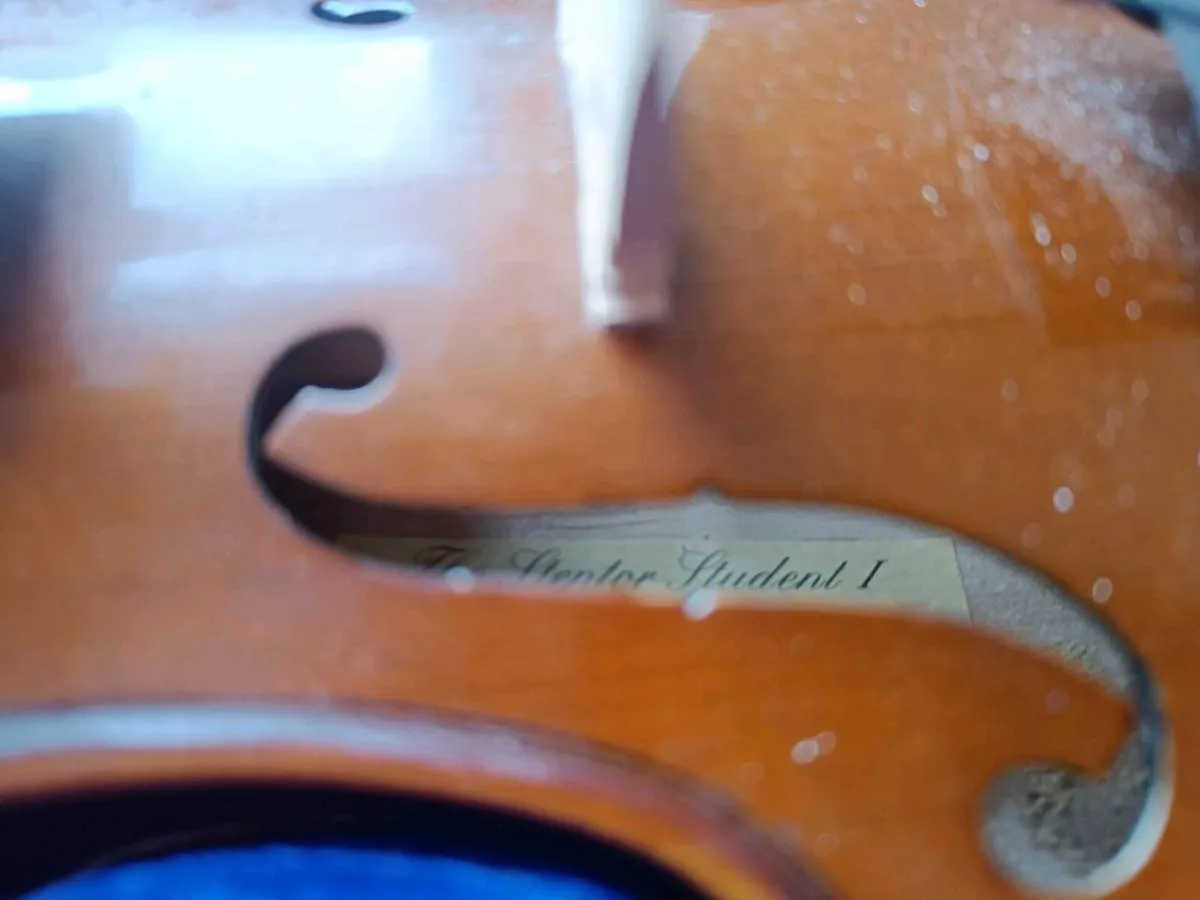 Stentor student violin 1/4 size - Image 2