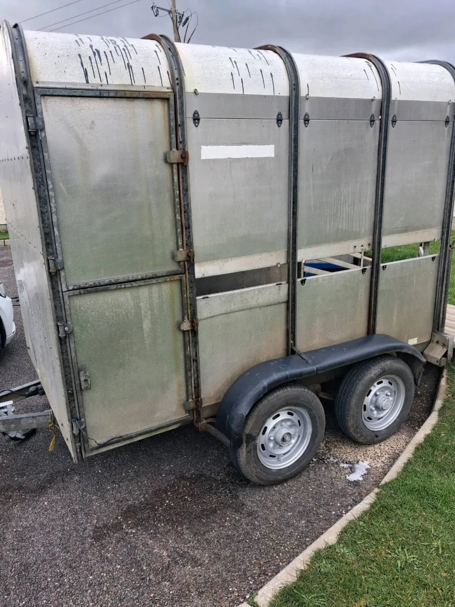 Cow trailer For Sale - Image 4