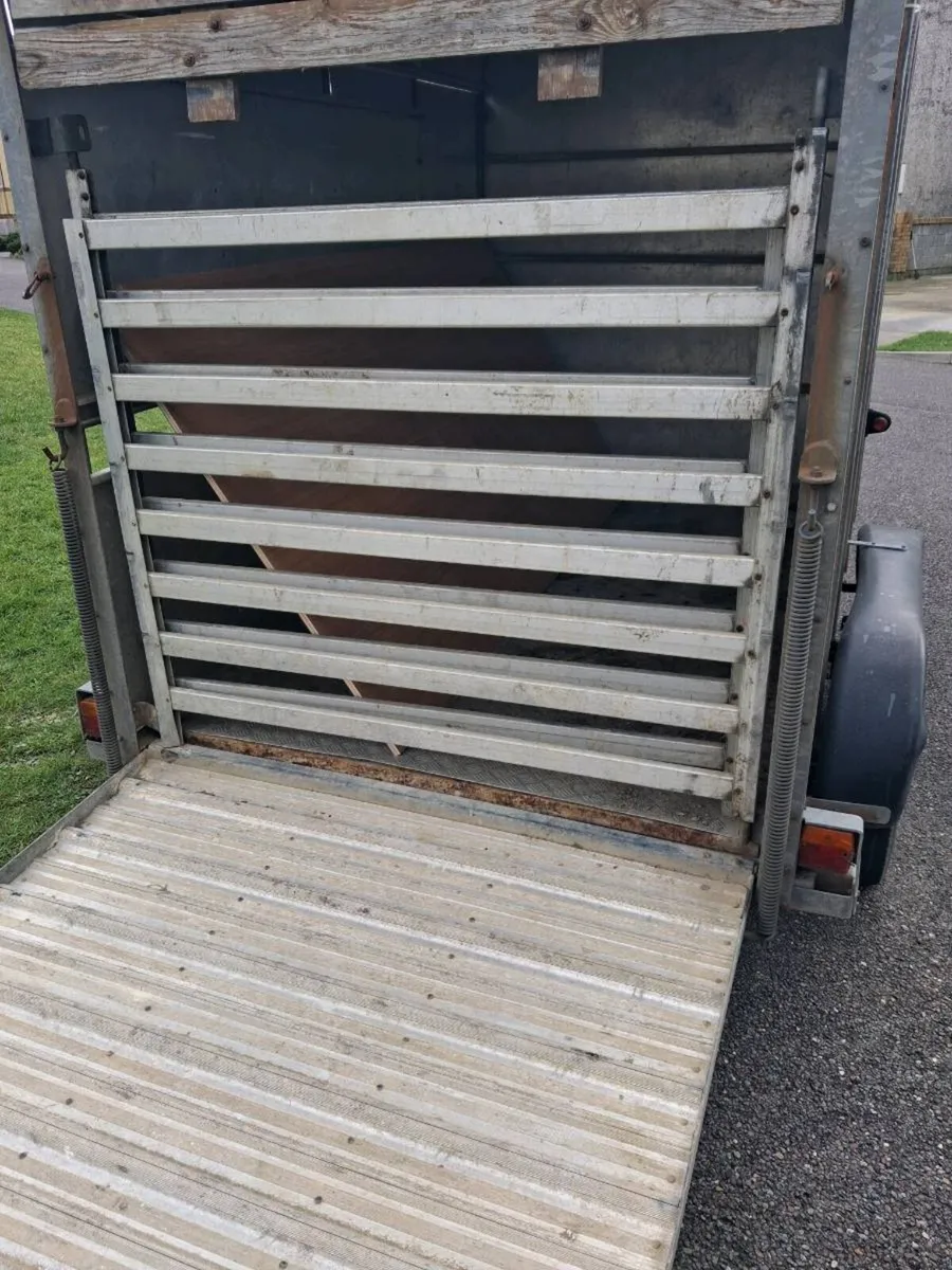 Cow trailer For Sale - Image 2