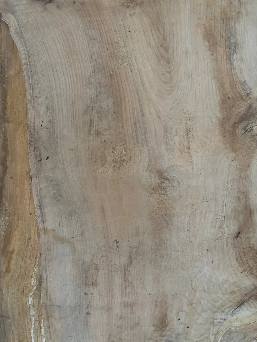 Huge Ash planks timber- Woodworking - Woodcarving - Image 3