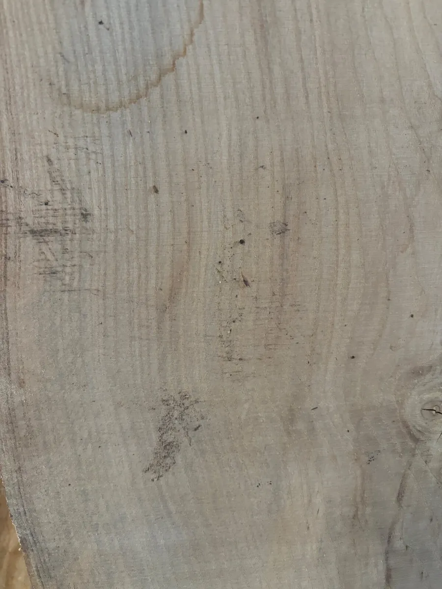 Huge Ash planks timber- Woodworking - Woodcarving - Image 4