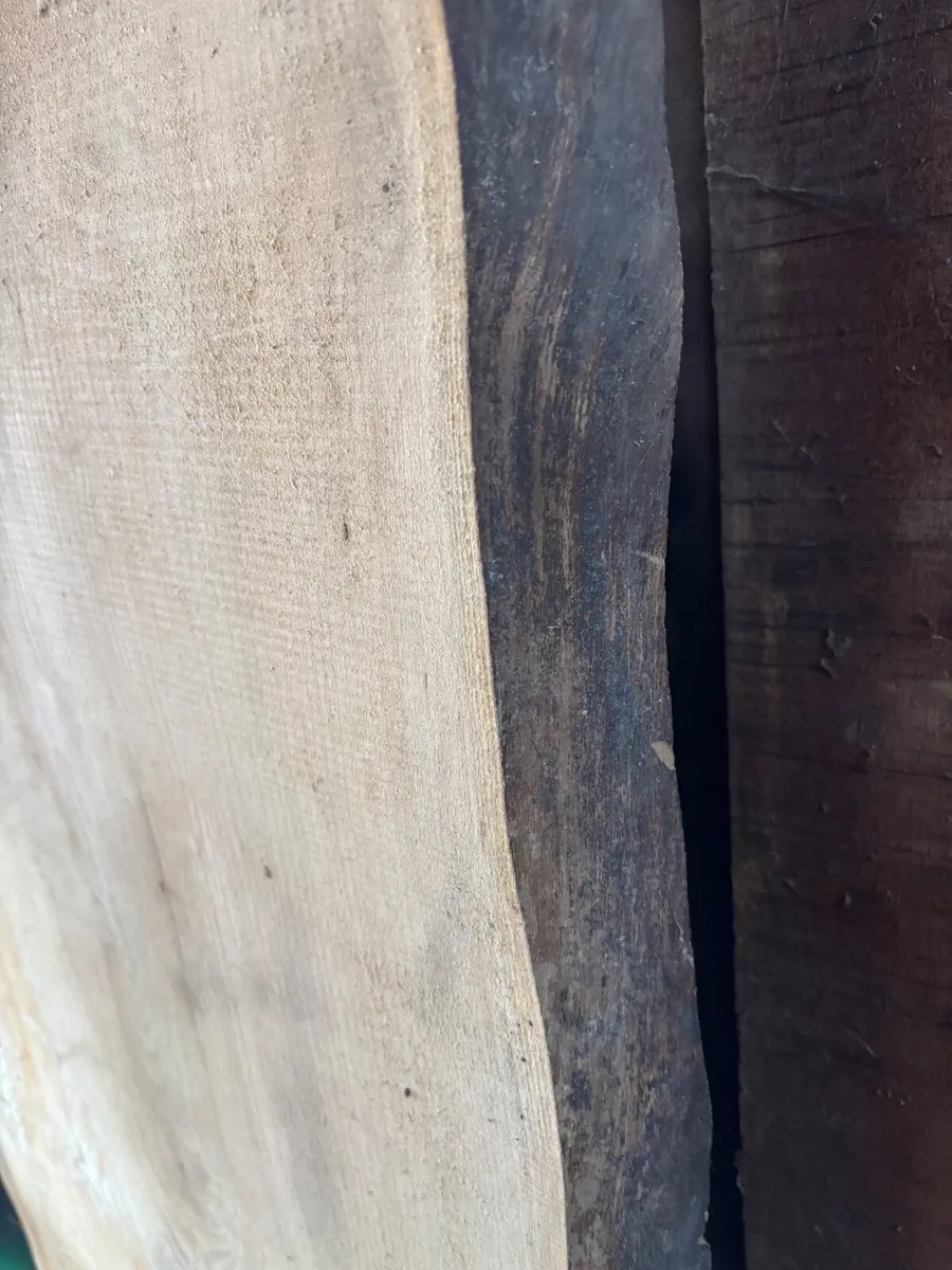 Huge Ash planks timber- Woodworking - Woodcarving - Image 2
