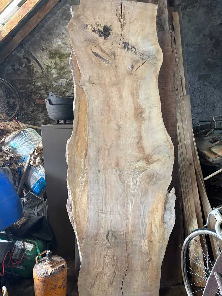 Huge Ash planks timber- Woodworking - Woodcarving - Image 1