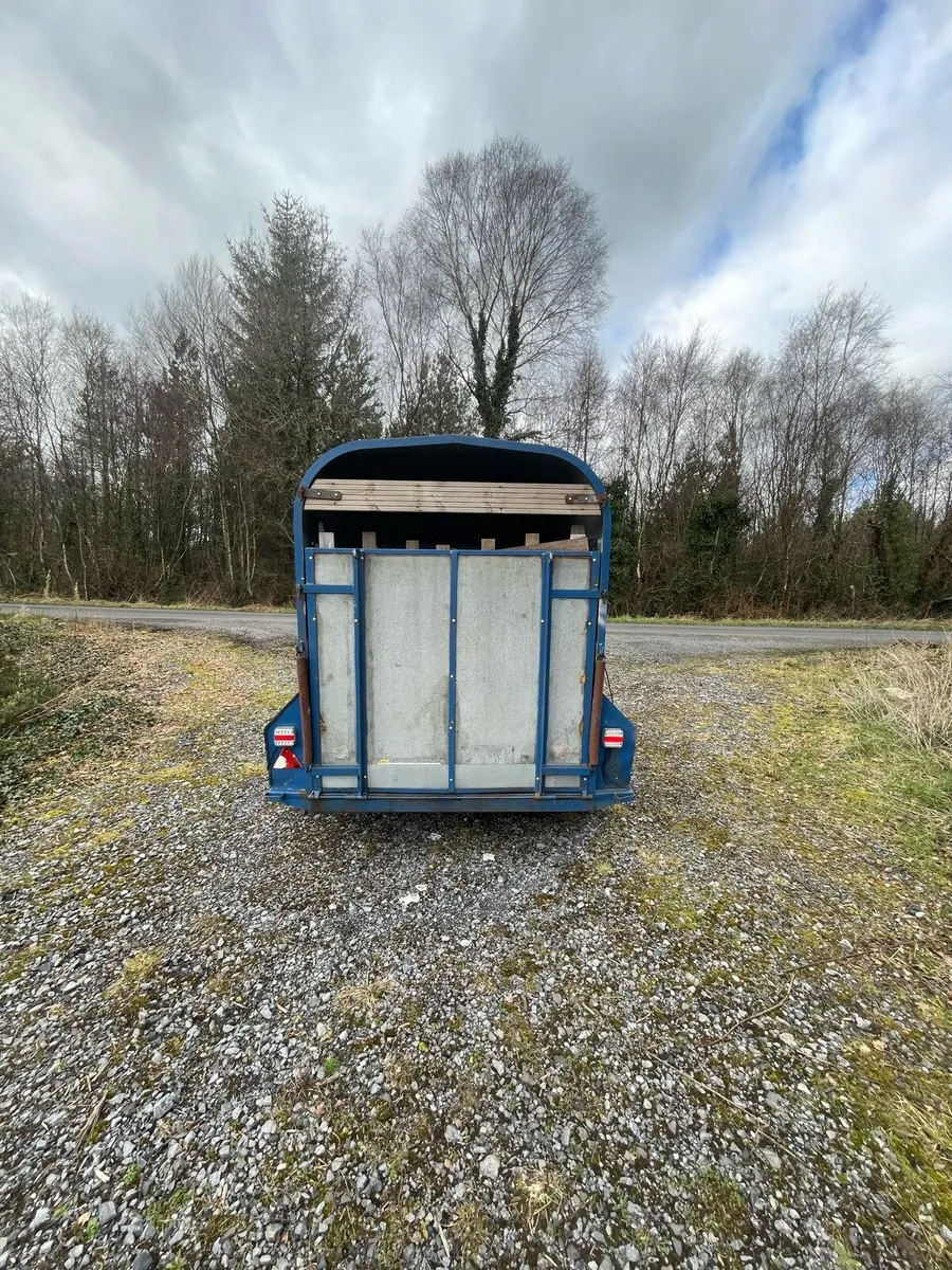 Bateson 8 x 5 Sheep Trailer - Very Clean - Image 3