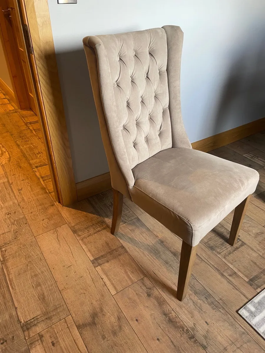 Dining Chairs x 10  and   Bar Stools x 6 - Image 4