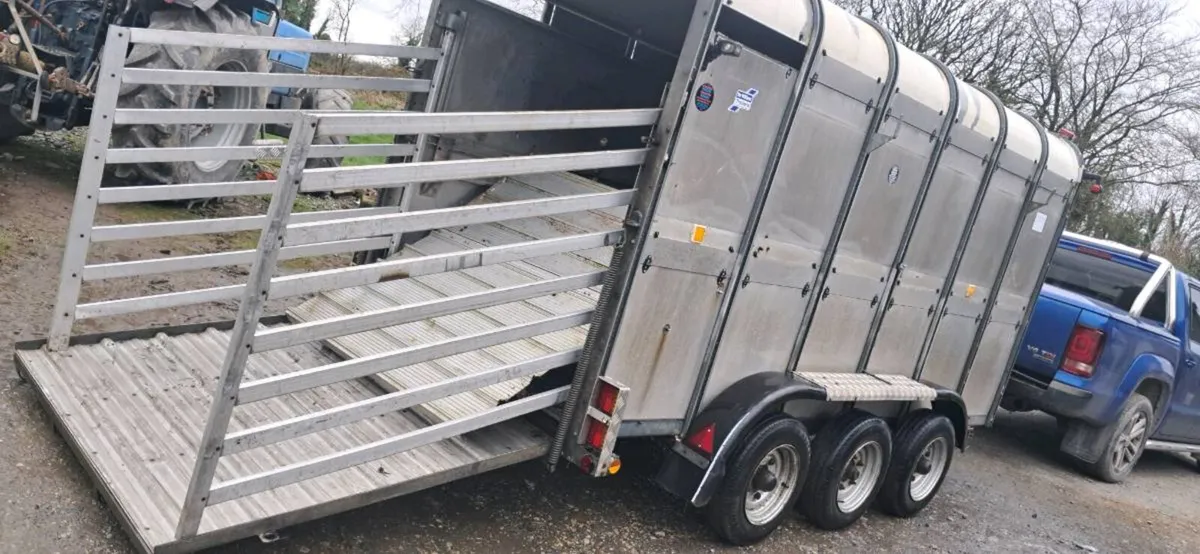 Cattle / Sheep trailer + farm items - Image 1