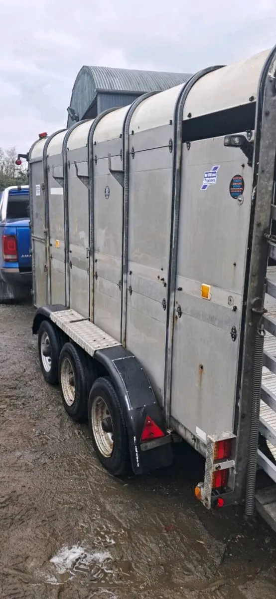 Cattle / Sheep trailer + farm items - Image 3