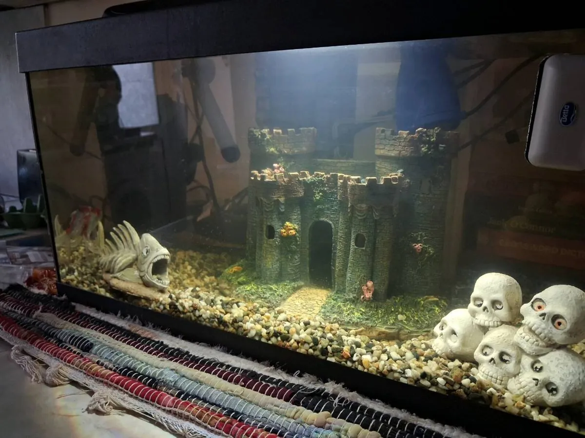Fish tank