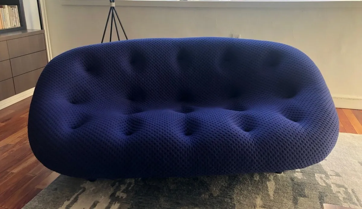 French designer Ligne Roset Ploum Sofa x 2 - Image 1