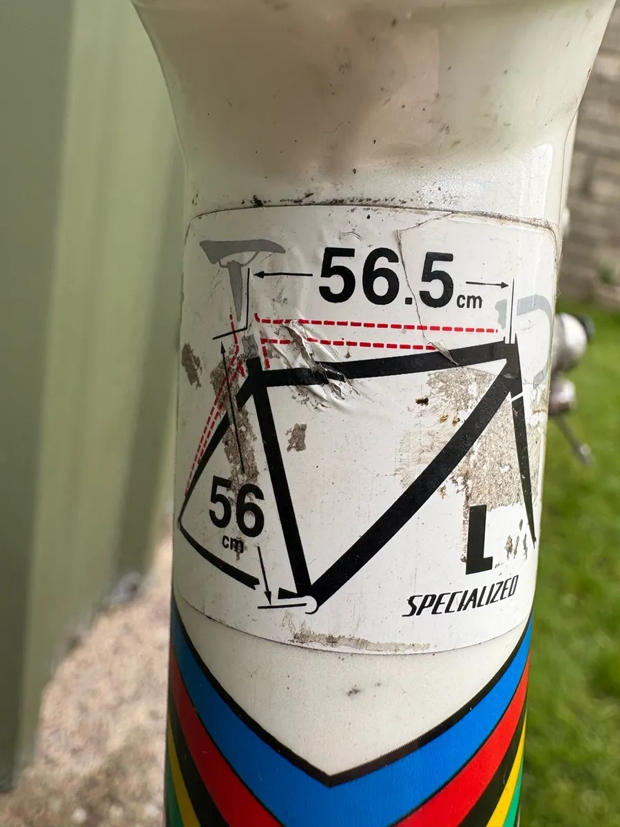 Specialized Road bike - Image 2