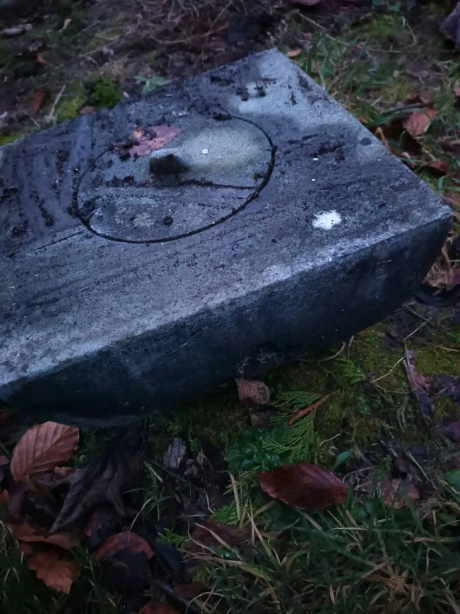 Garden Pot/Flower Holder - Image 1