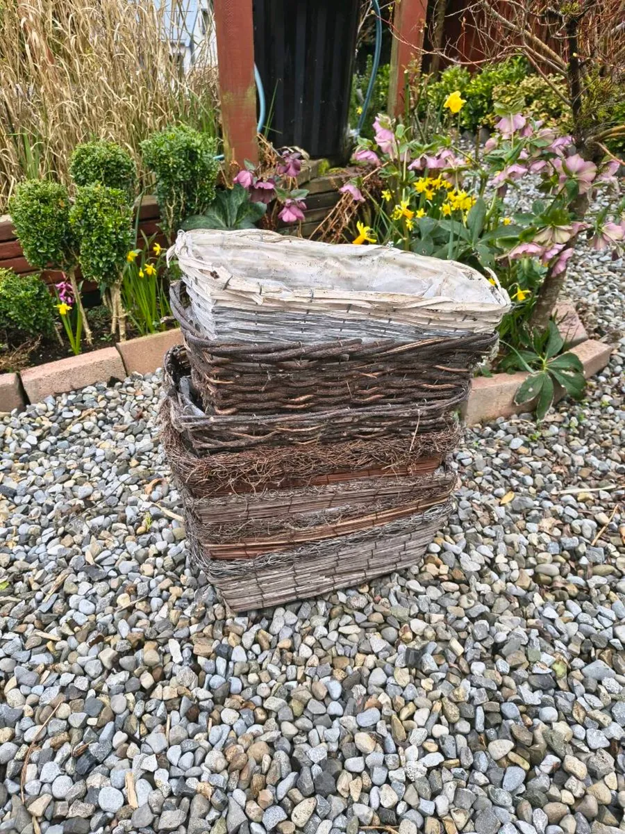 Seven wicker window boxes - Image 1