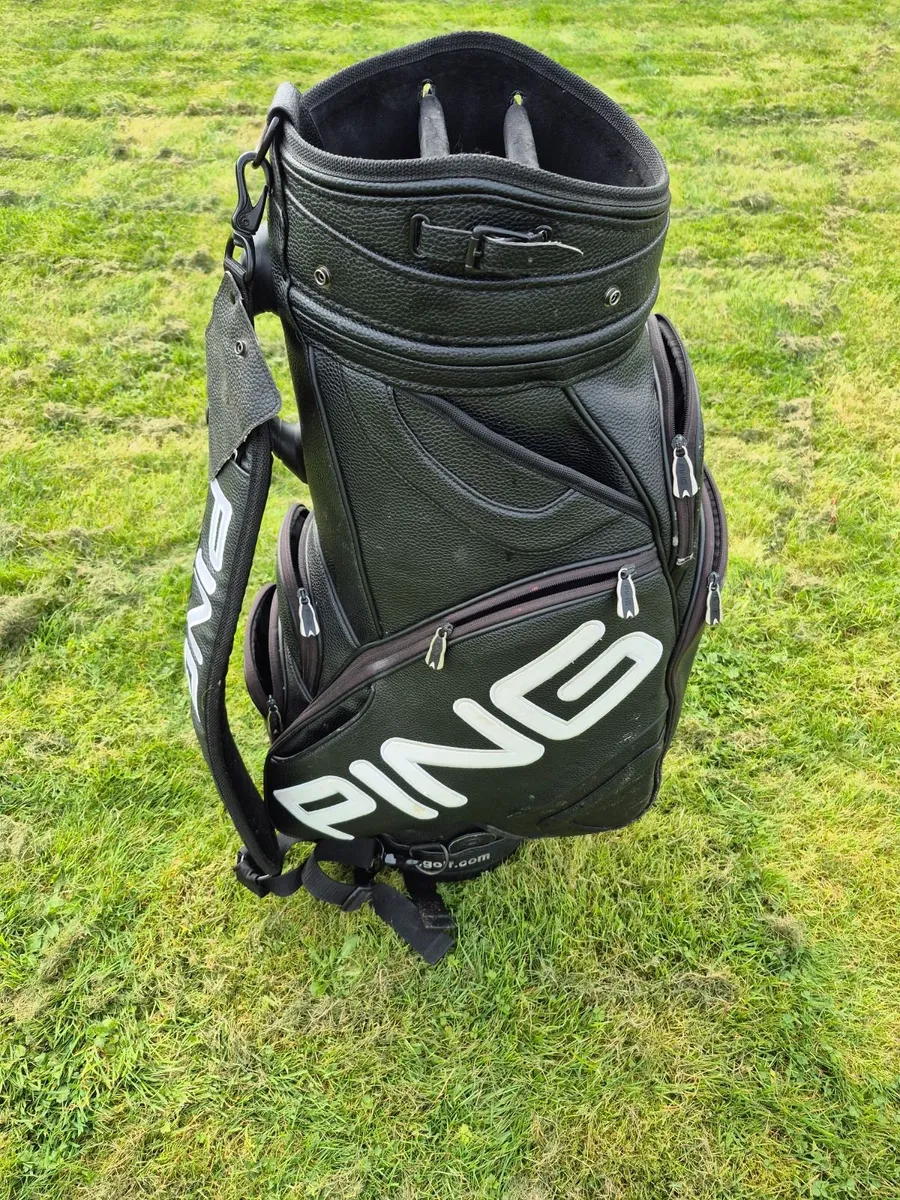 Golf bag - Image 1