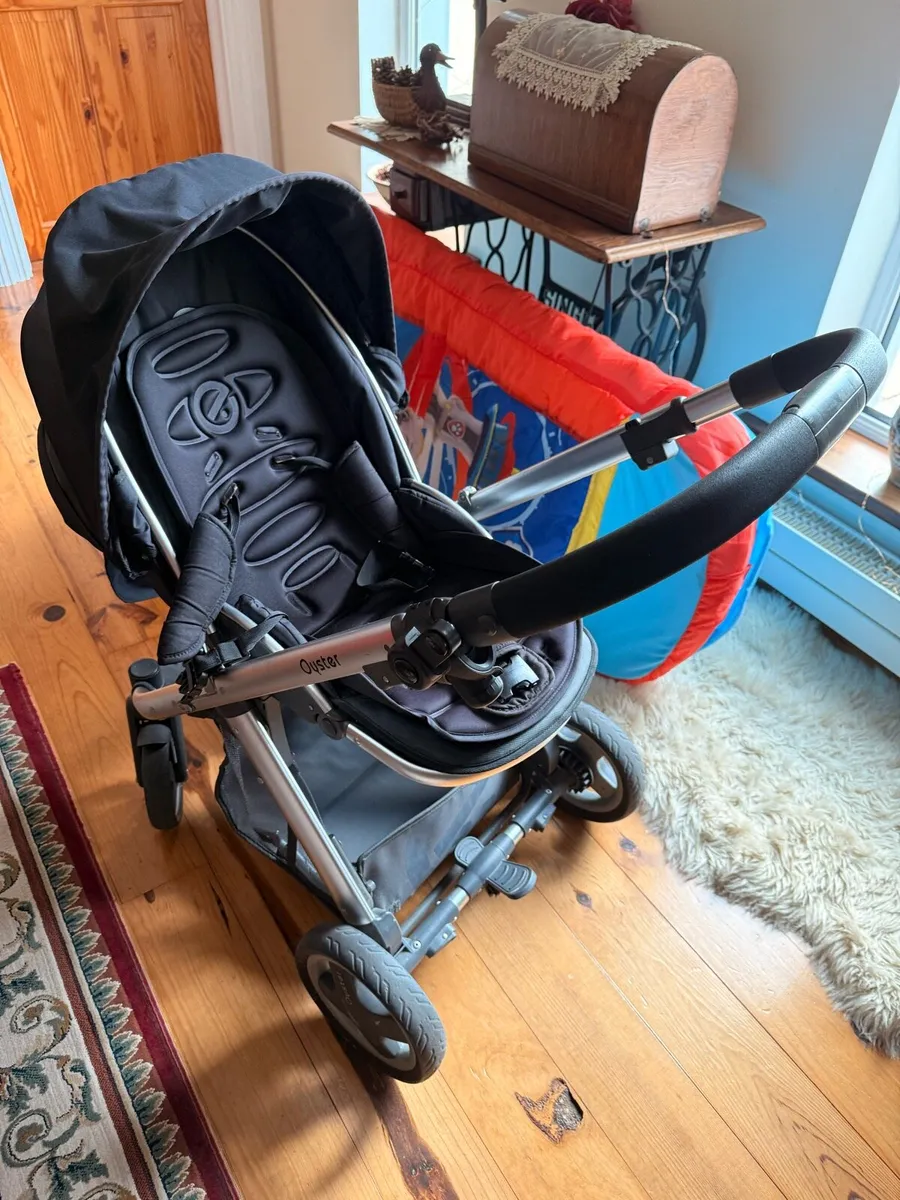 Oyster Buggy - Image 2