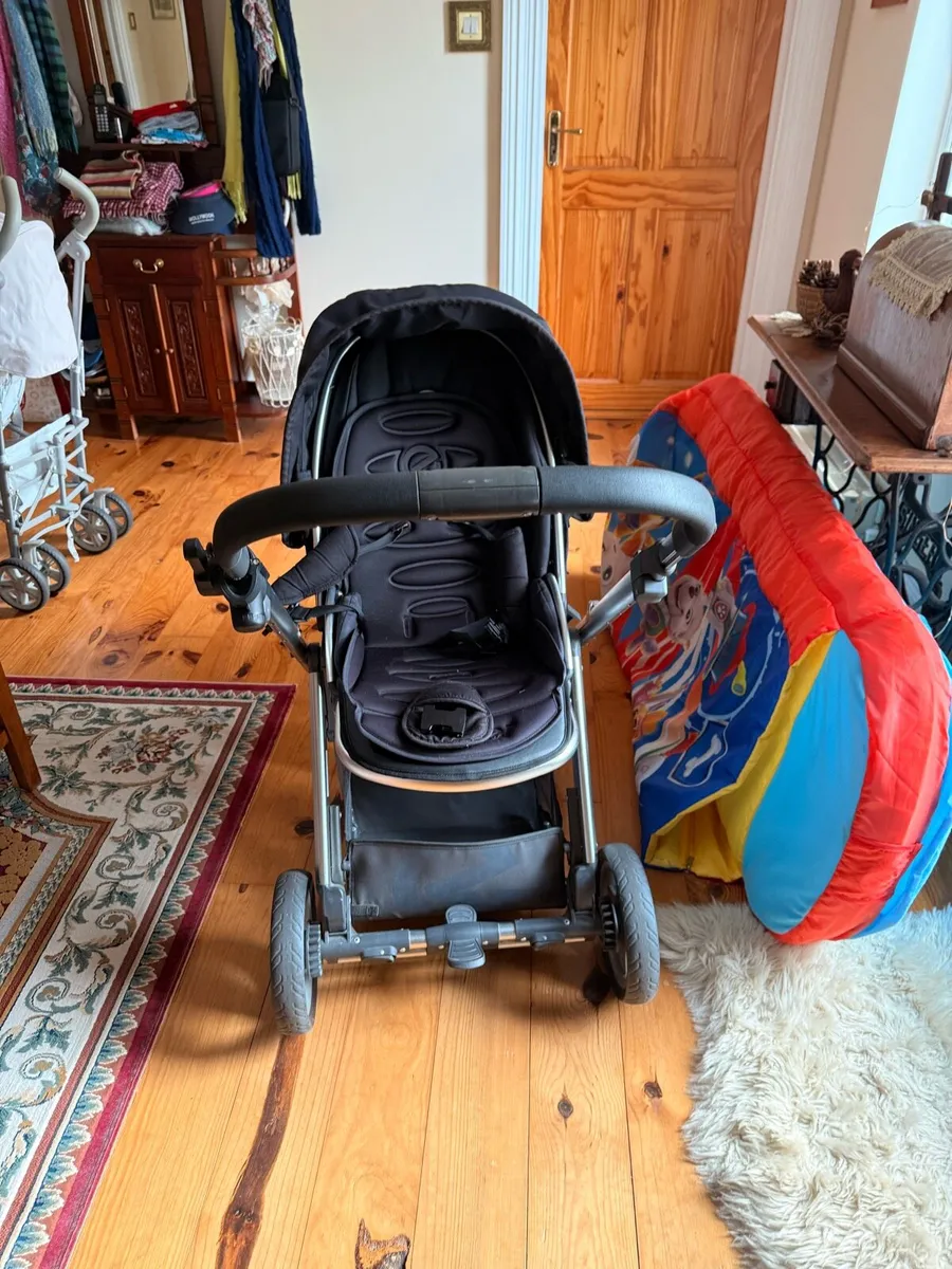 Oyster Buggy - Image 3