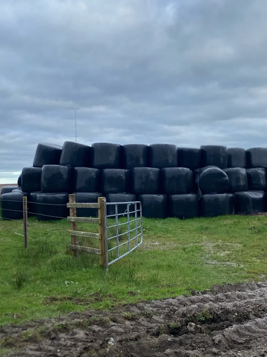 Cheap Round Bales