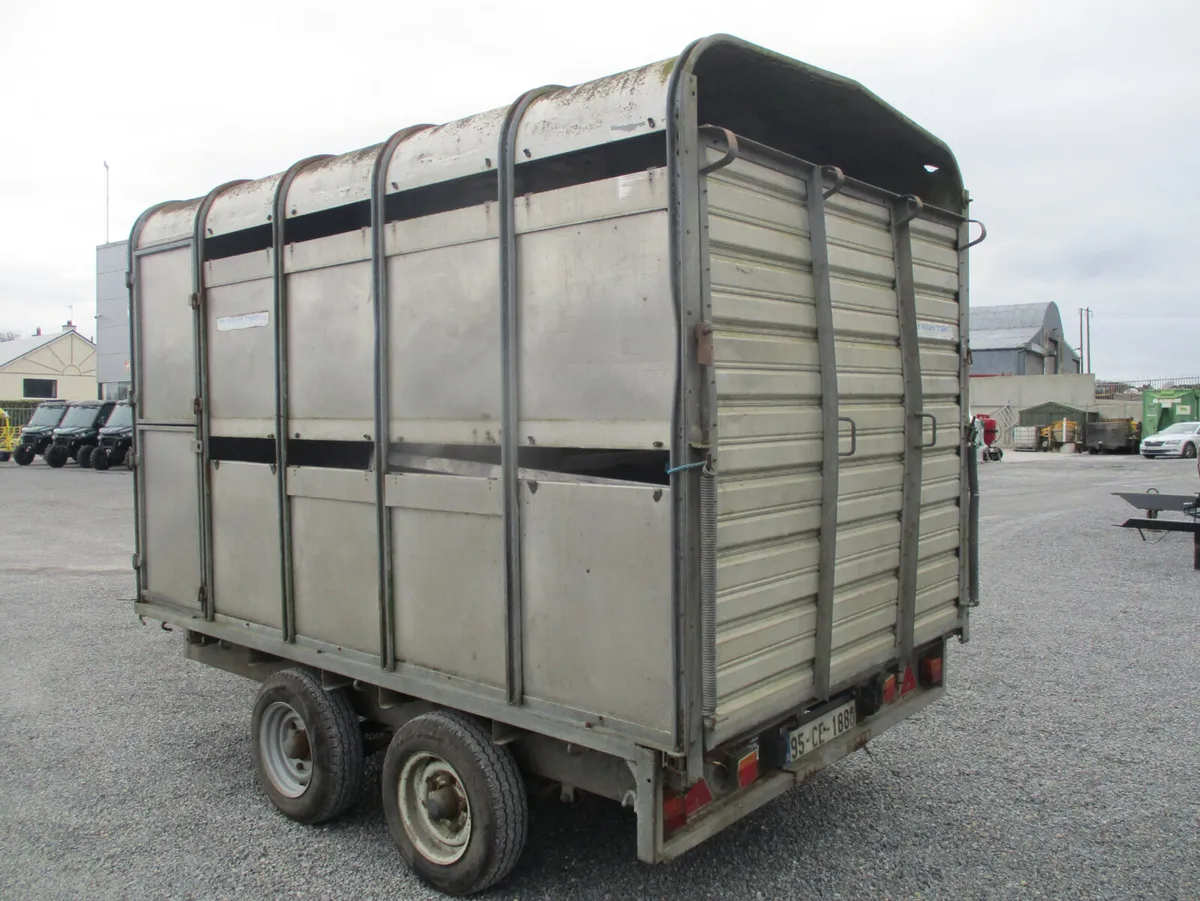 Ivor Williams10 X 5 Livestock trailer - Image 3