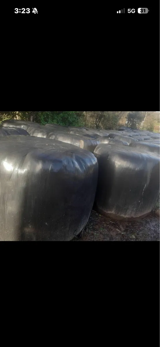 20 bales of silage