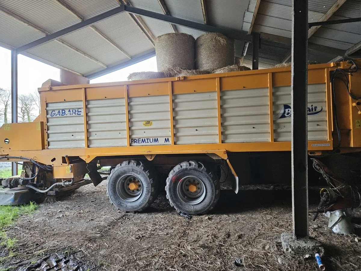 Gabare Zero Grazer - Image 2