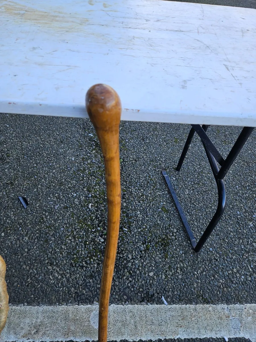 Walking Stick - Image 1