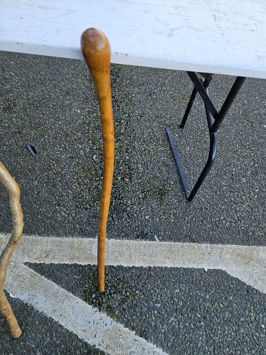Walking Stick - Image 2
