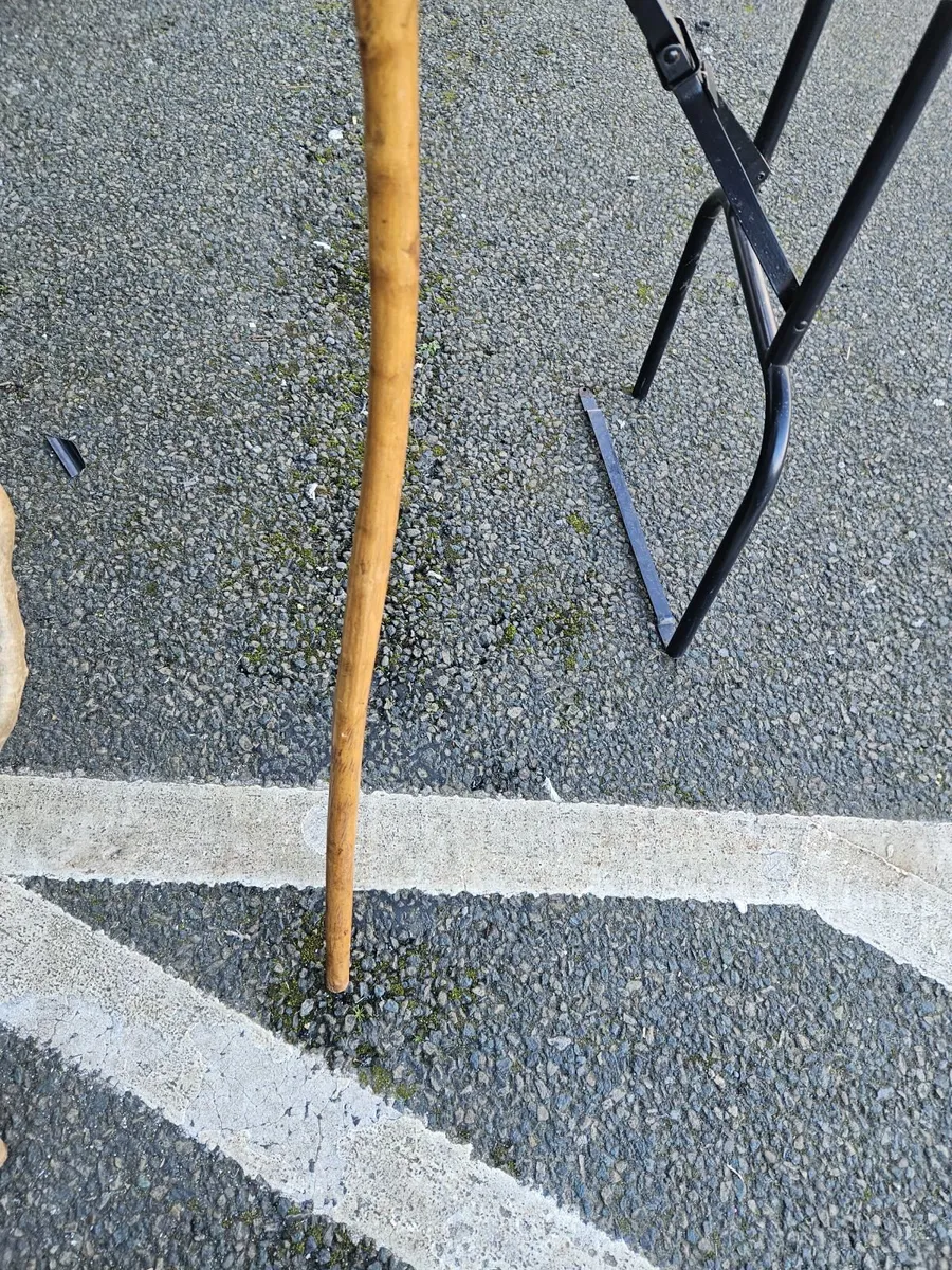 Walking Stick - Image 3