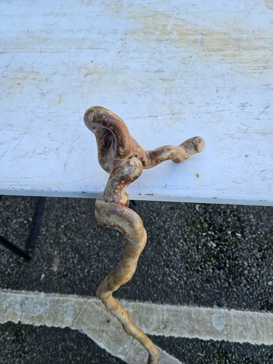 Walking Stick - Image 1