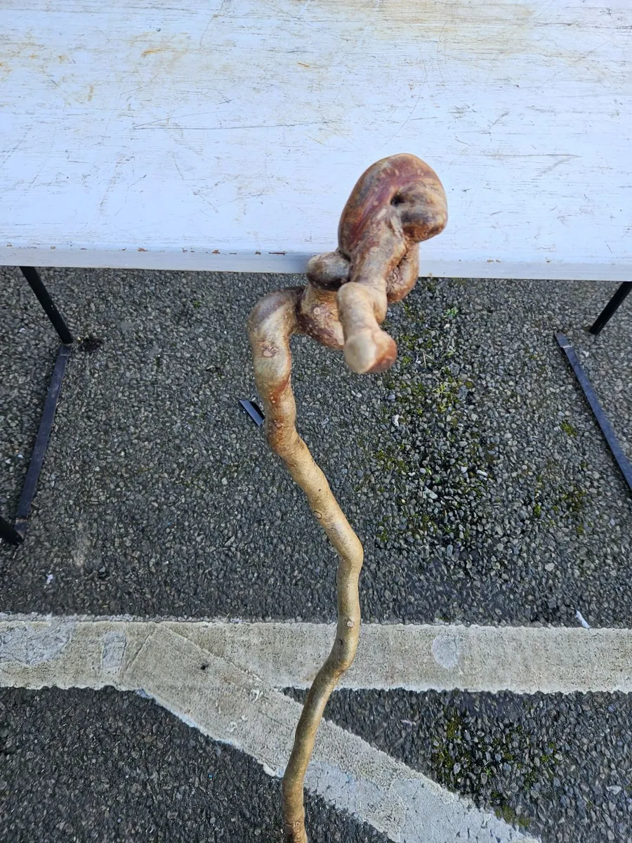 Walking Stick - Image 2