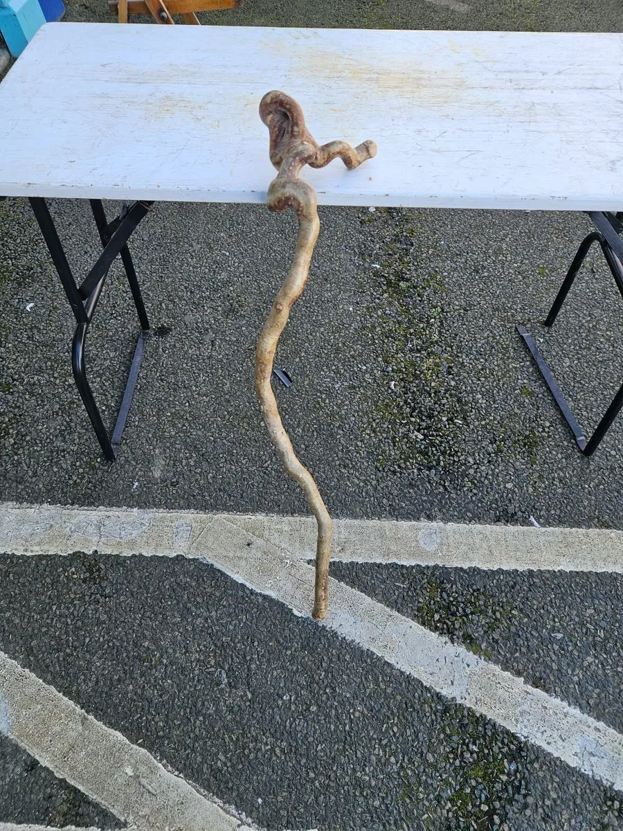 Walking Stick - Image 4