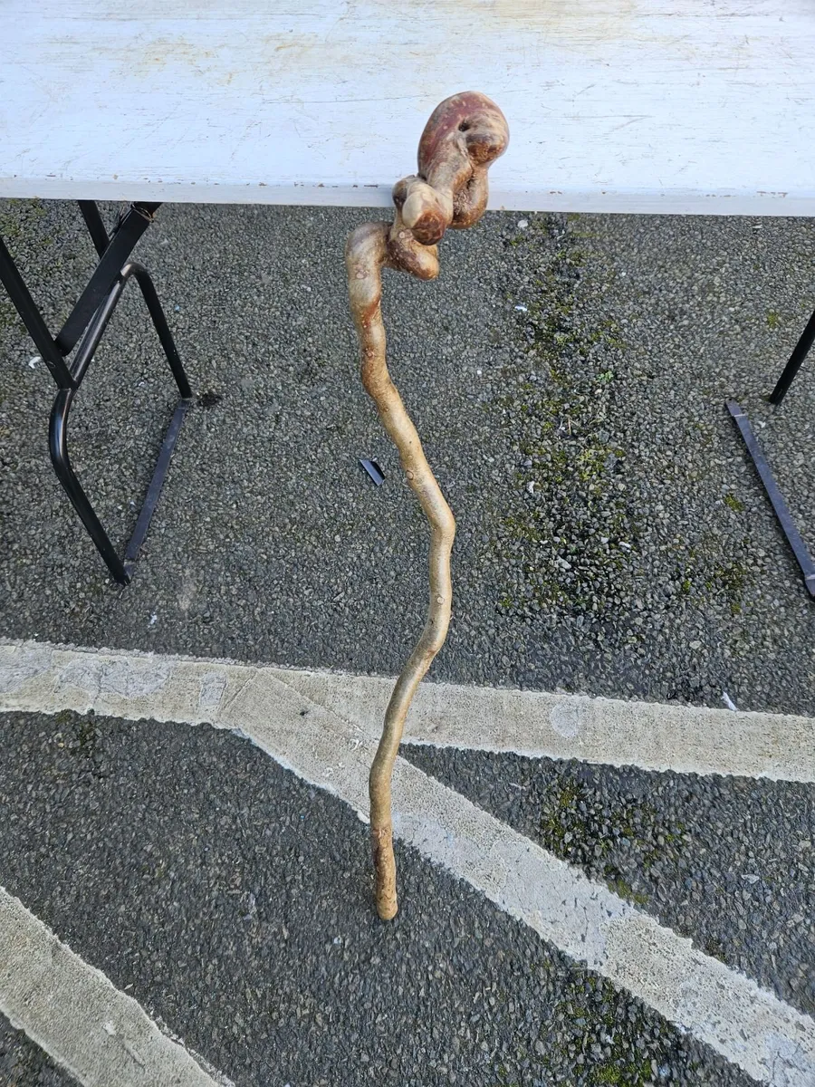 Walking Stick - Image 3
