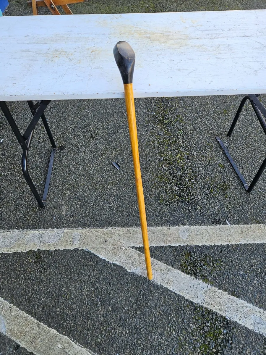 Walking Stick - Image 1