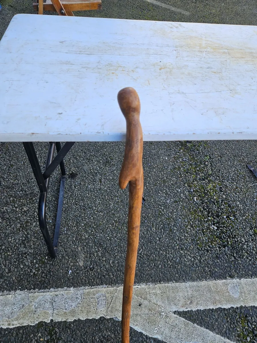 Walking Stick - Image 1