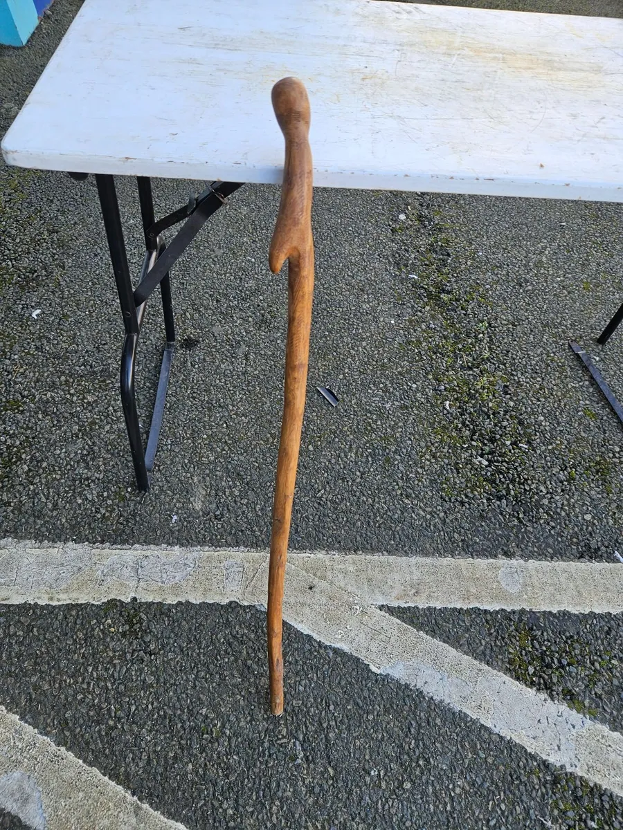 Walking Stick - Image 2