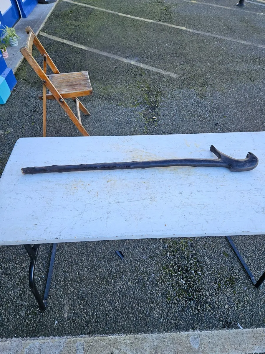 Walking Stick - Image 1