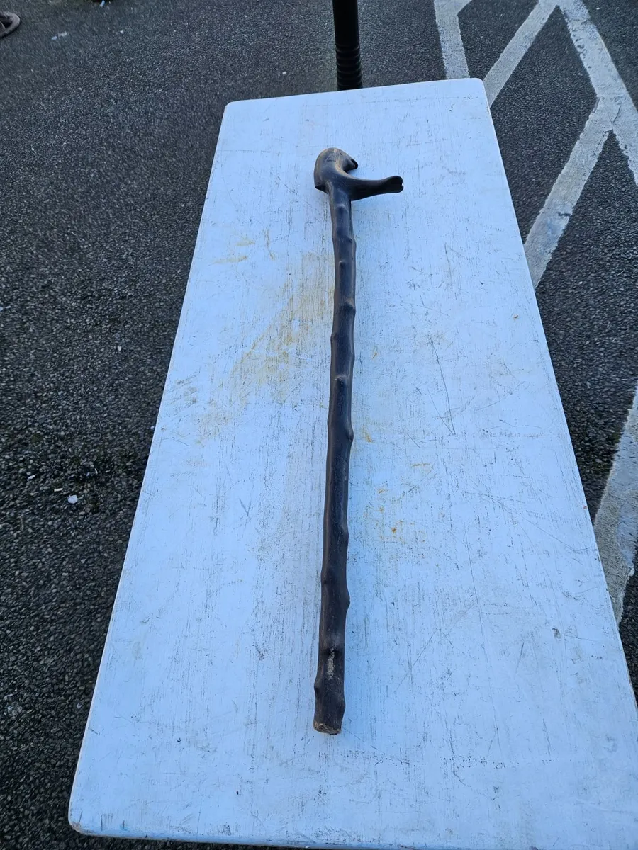 Walking Stick - Image 4