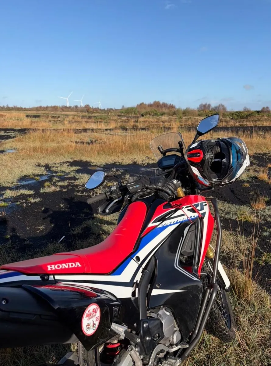 2019 Honda CRF250 Rally - Image 1