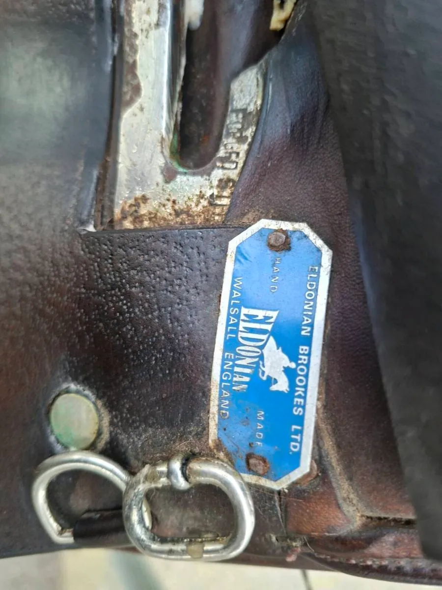 Dressage Saddle - Image 4