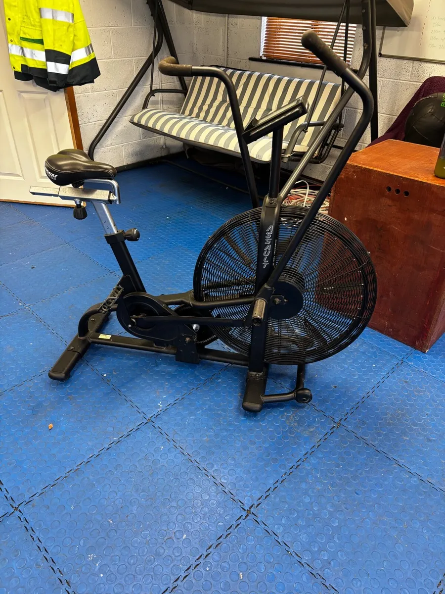 Assault Bike/ Ski Machine - Image 1