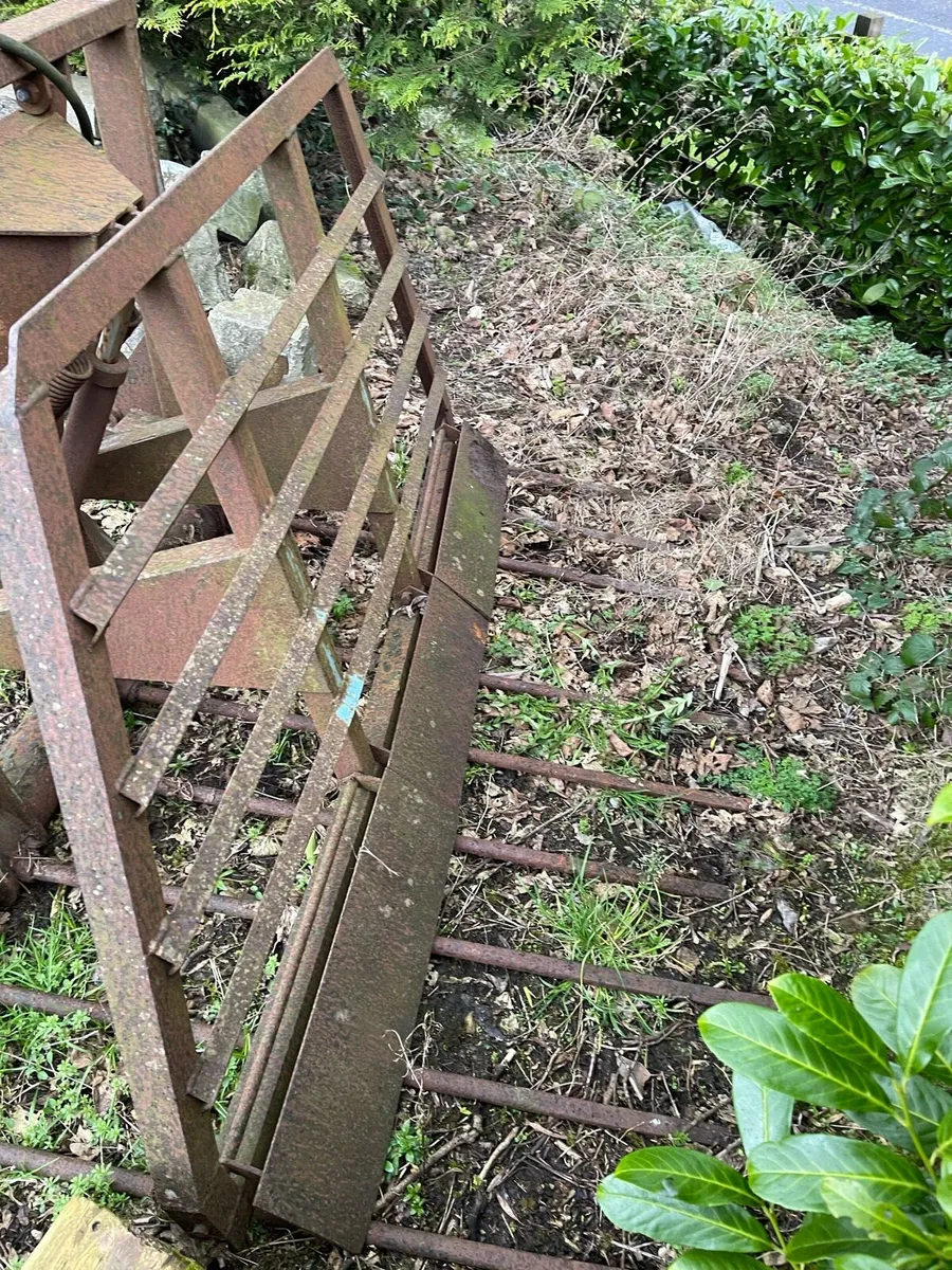 Push off buck rake - Image 2