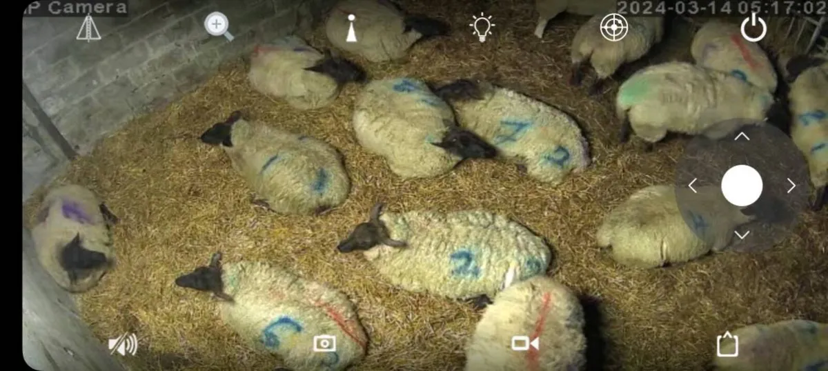 Lambing Cameras - Image 2