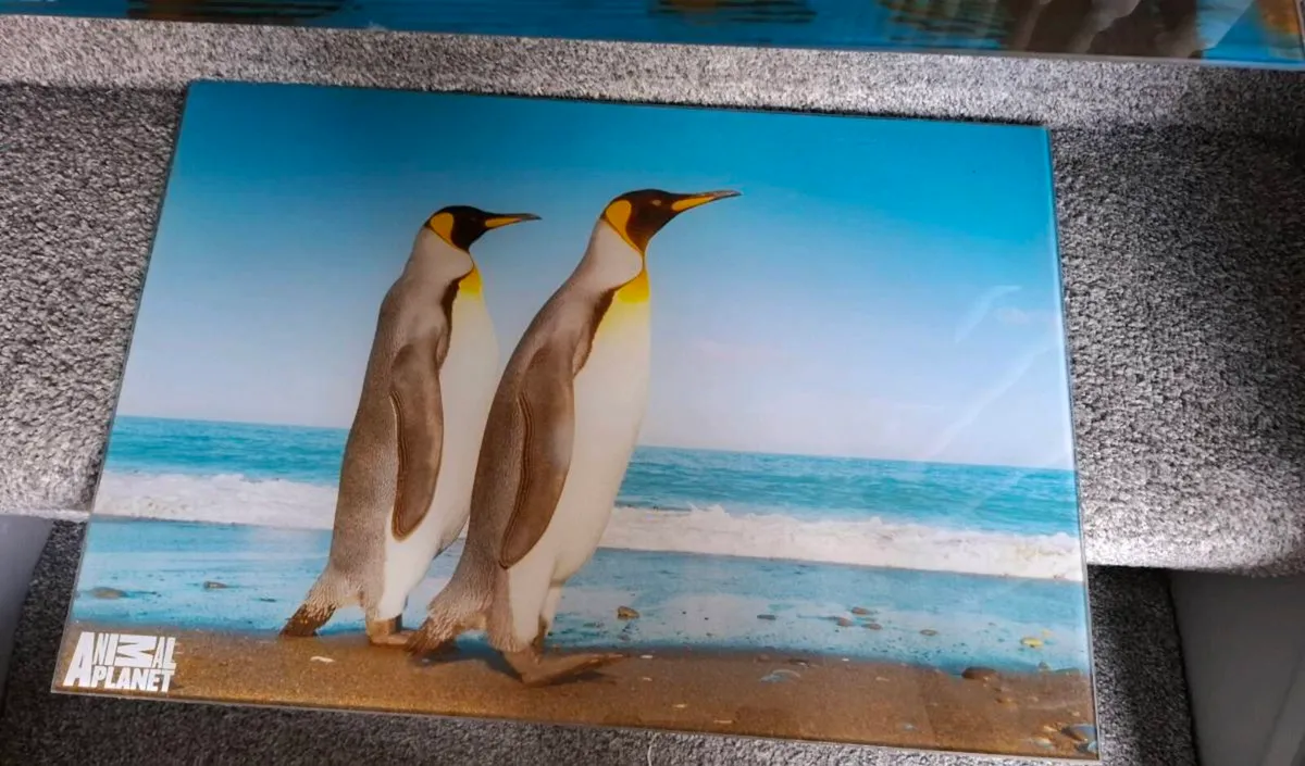 Wall pictures - Image 1