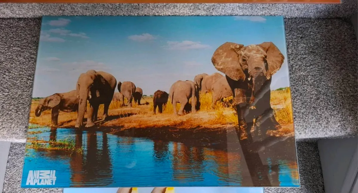 Wall pictures - Image 2