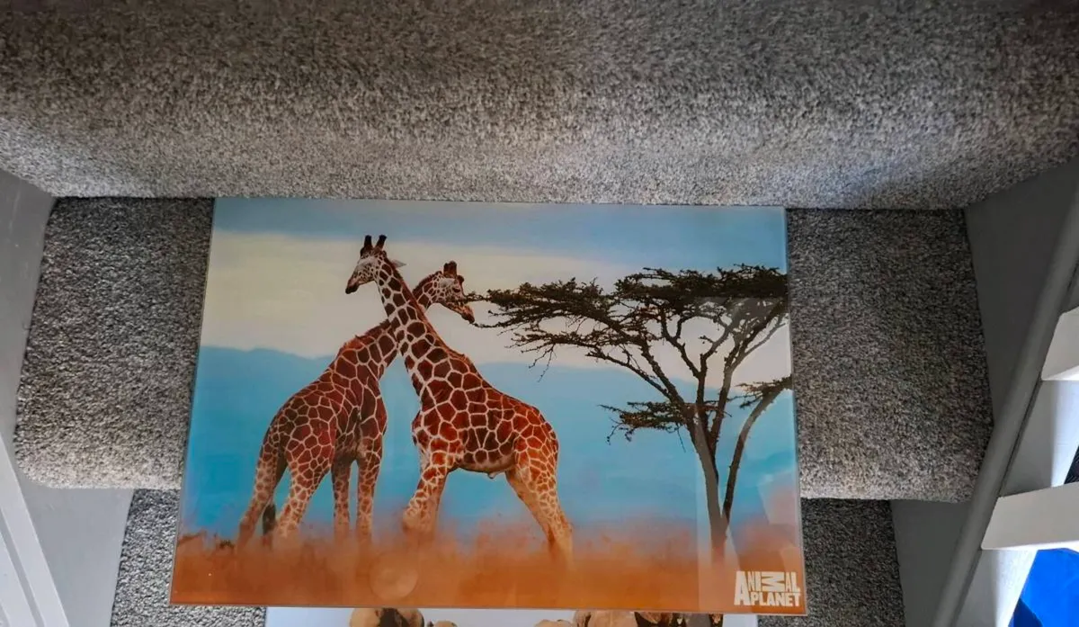 Wall pictures - Image 3