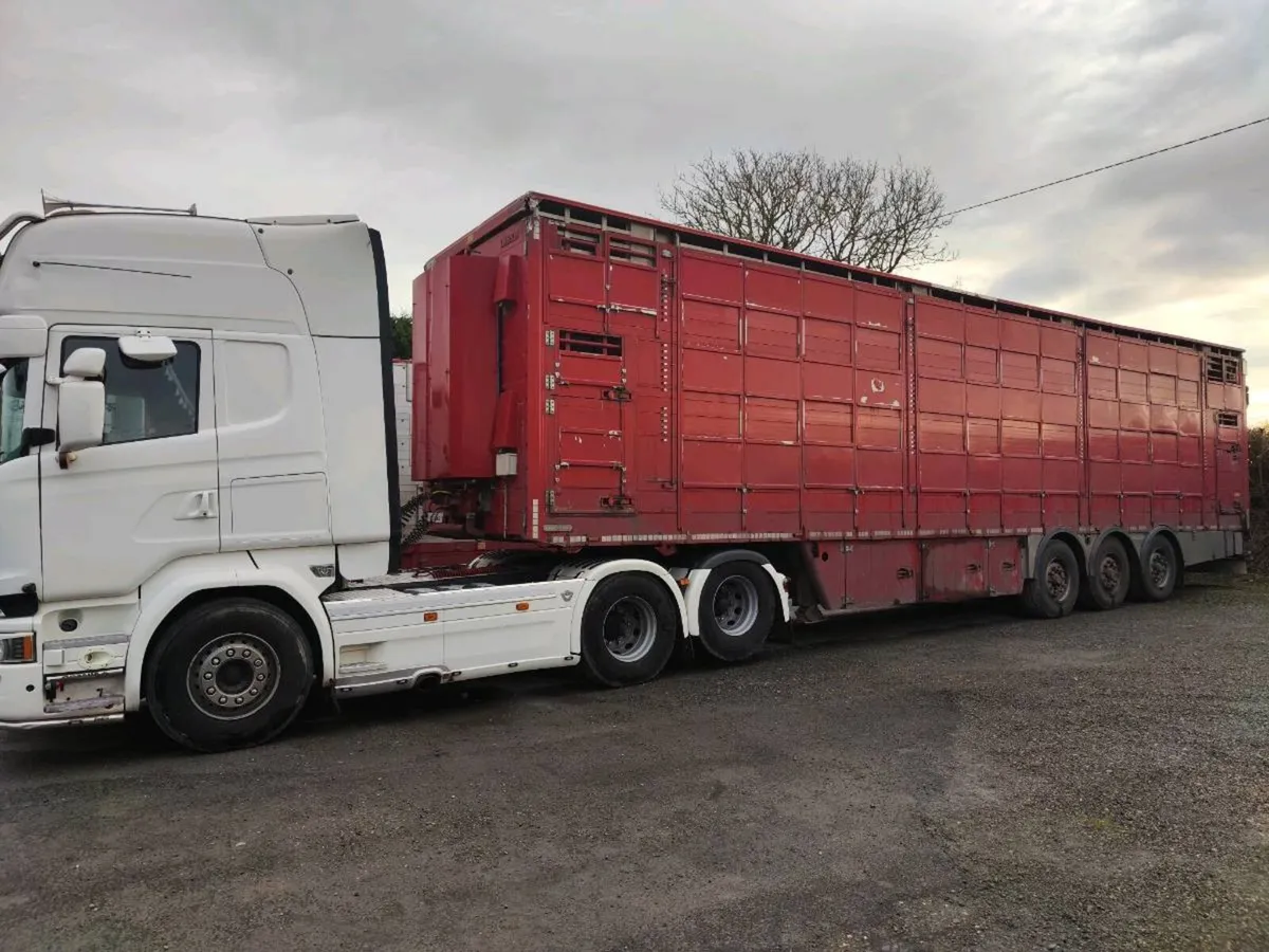 Pezzaioli Livestock Trailer-Straight Frame - Image 2