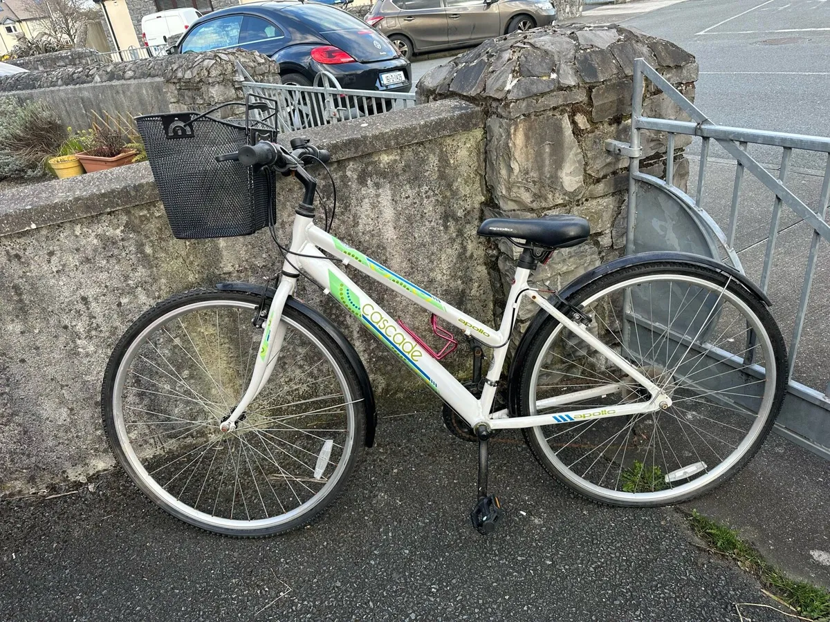 Junior Adult Girls Bicycle