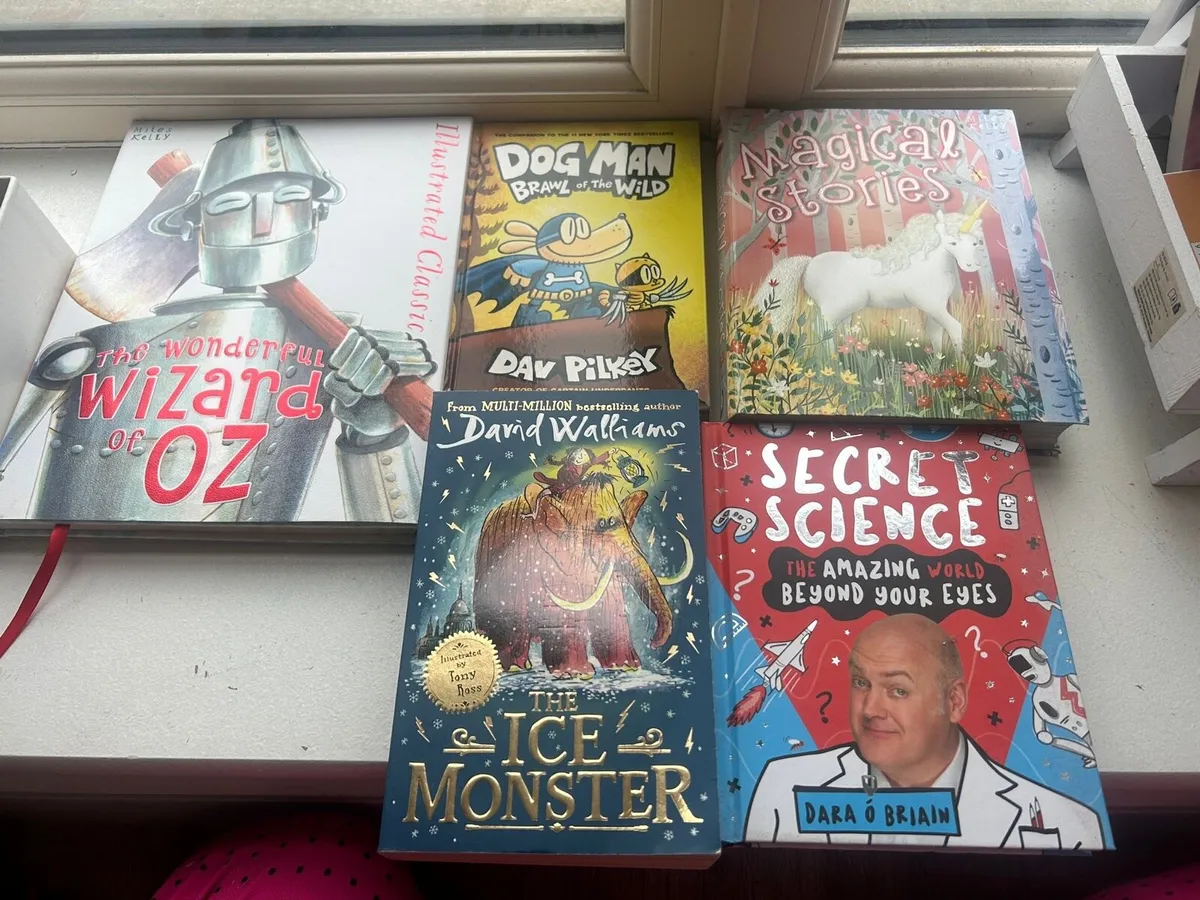 Large bundle kids books - Image 2