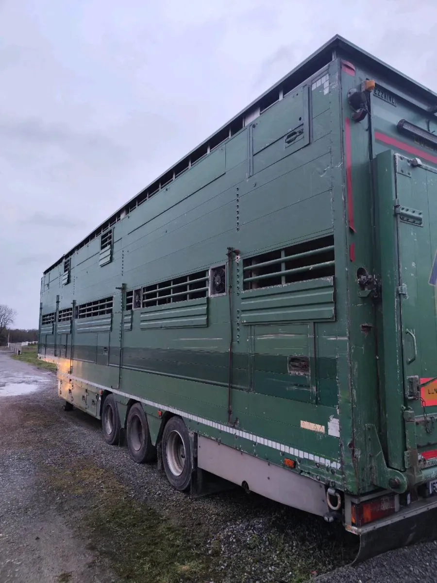 Pezzaioli Livestock Trailer - Image 3