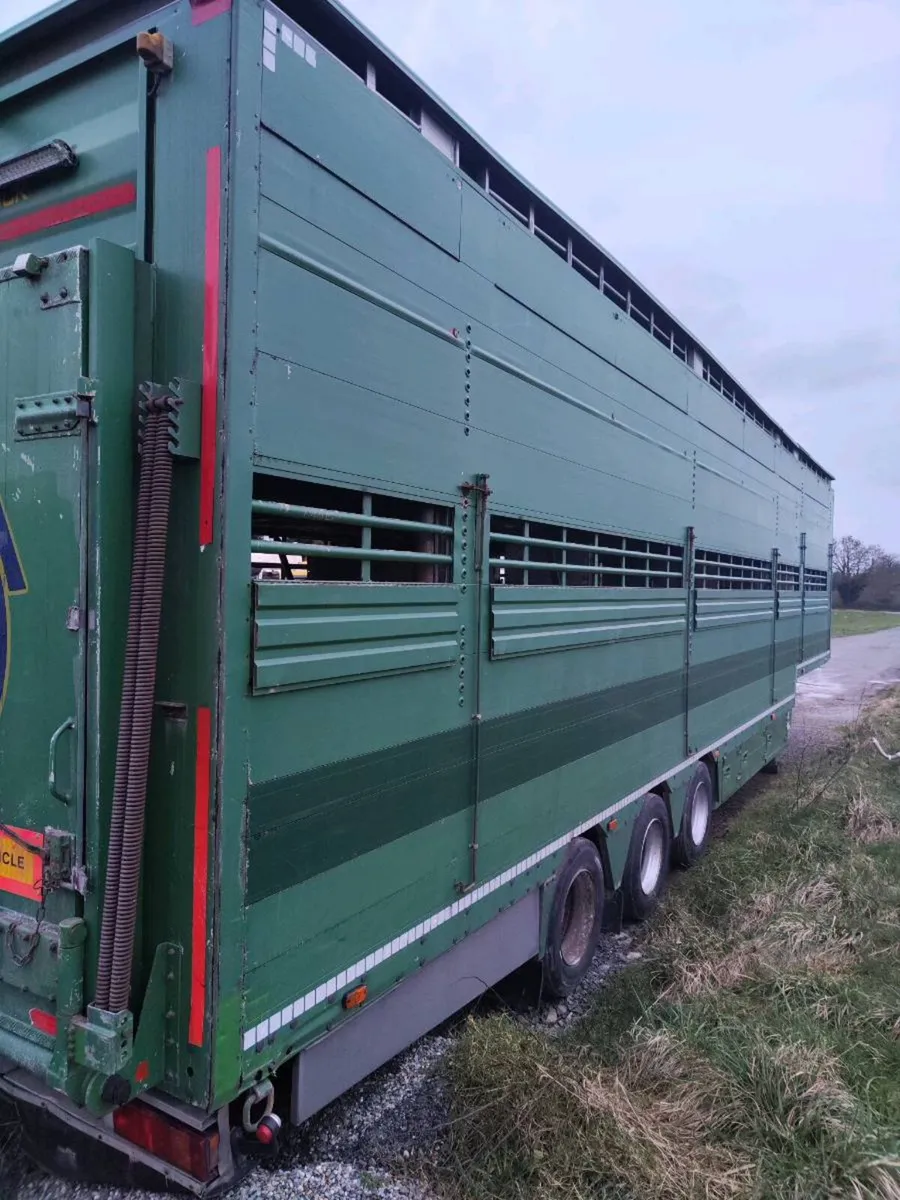 Pezzaioli Livestock Trailer - Image 4